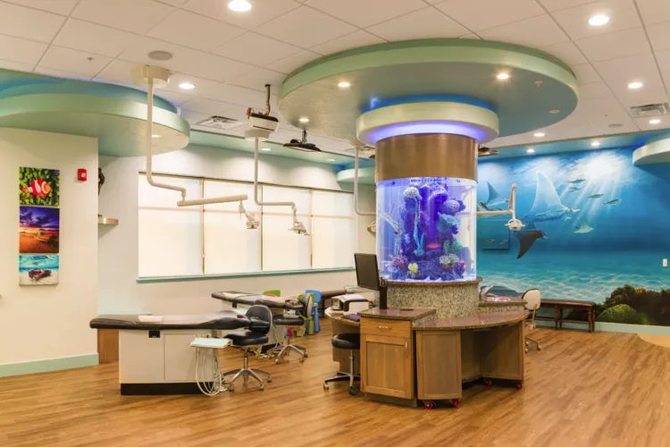 Open-bay treatment area at the Springville office with ocean theme
